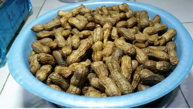 kacang rebus kacang rebus