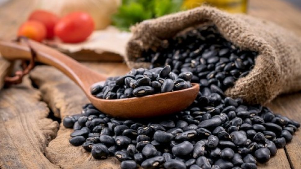 kacang kedelai hitam kacang kedelai hitam