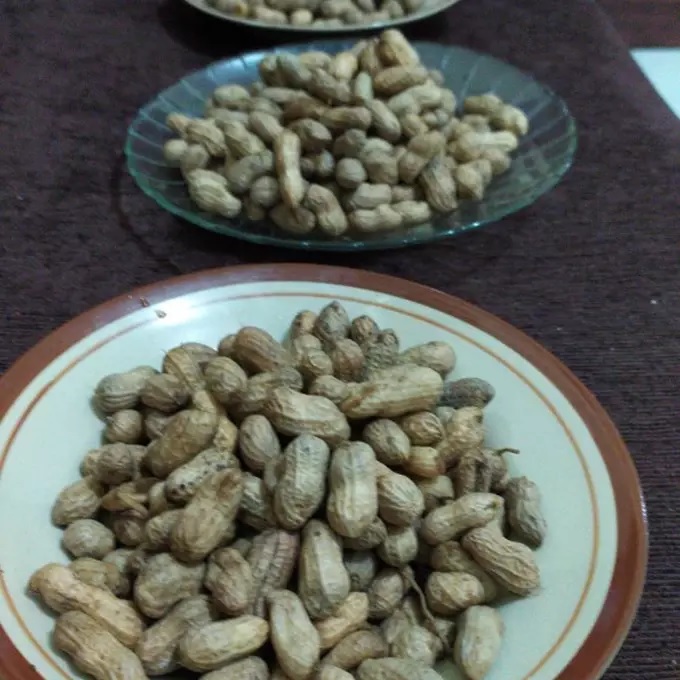 kacang tanah rebus kacang tanah rebus