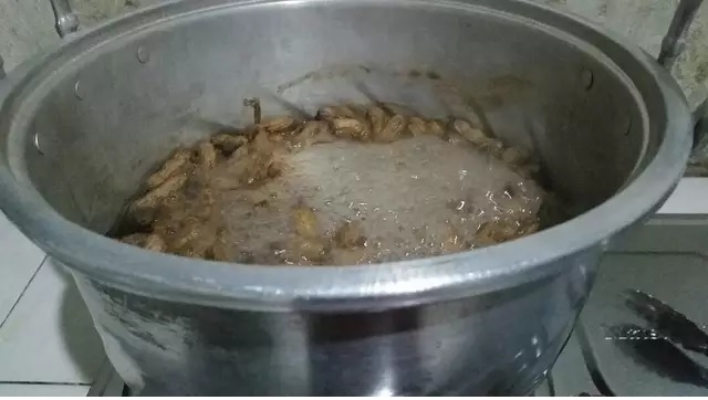 kacang tanah direbus kacang tanah direbus