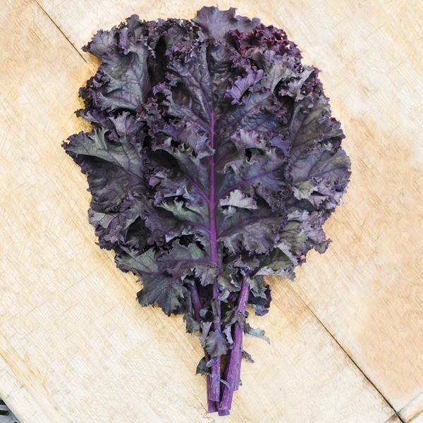 kale scarlet kale scarlet