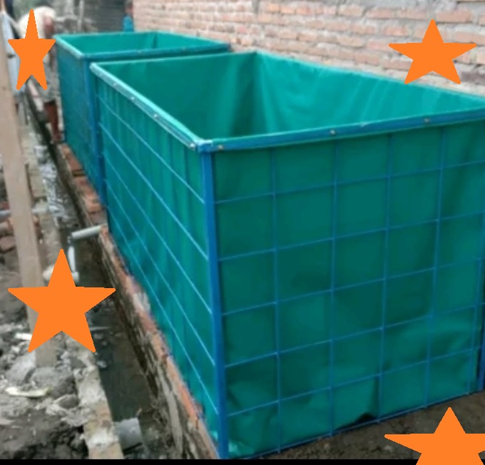 kolam ikan lele kotak kolam lele kotak