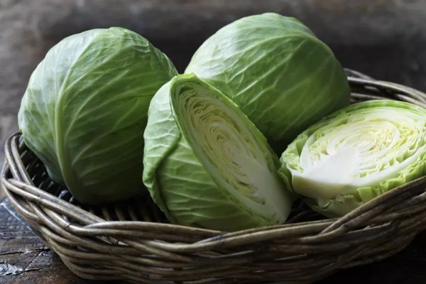 sayur kubis sayur kubis