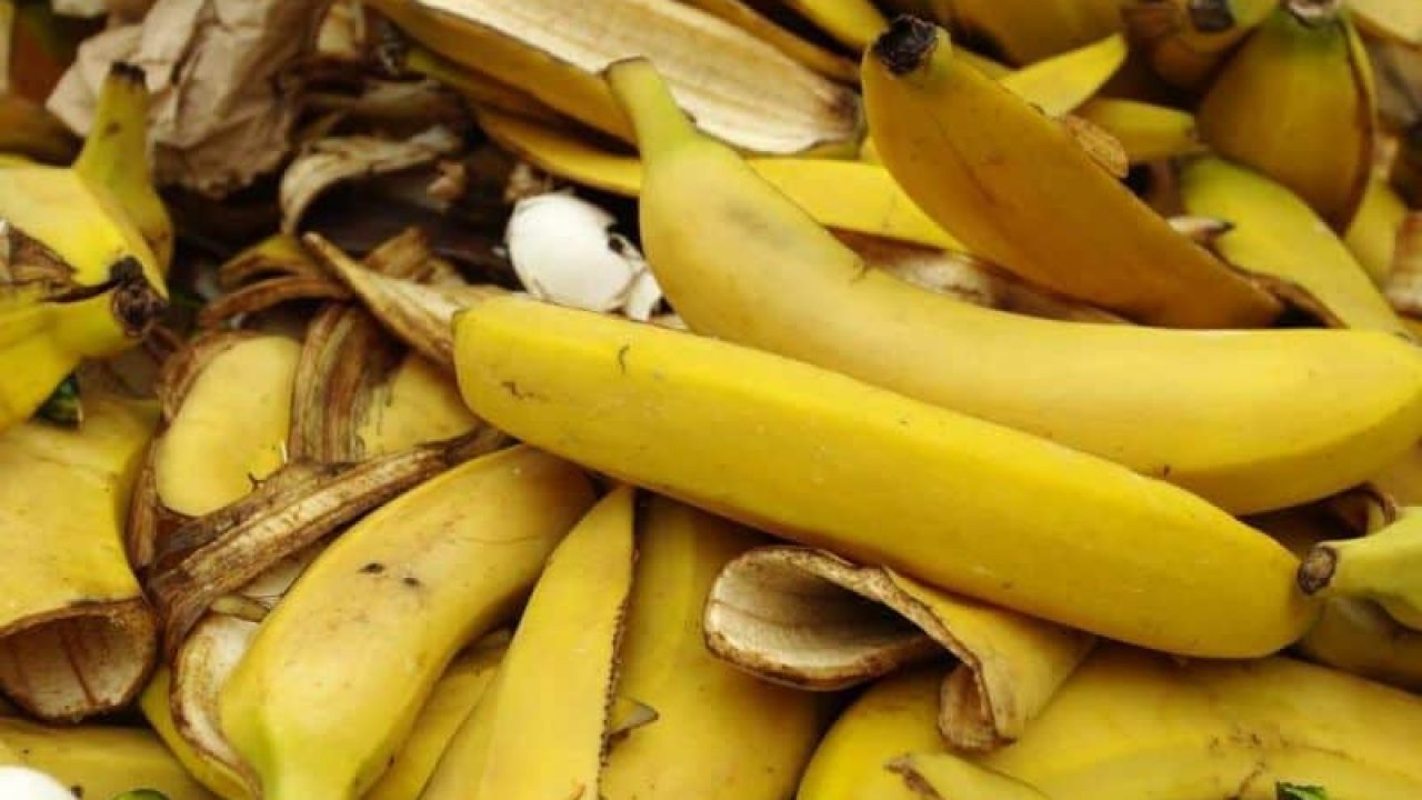 tepung kulit pisang kulit pisang