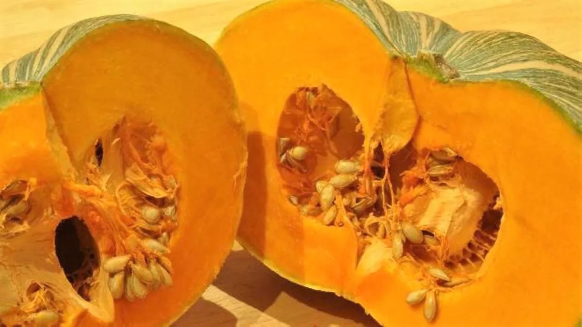 manfaat labu parang labu parang