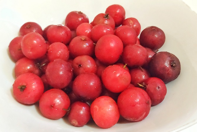 buah-lobi-lobi buah-lobi-lobi