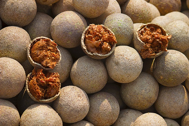 buah-kawista-manfaat buah-kawista-manfaat