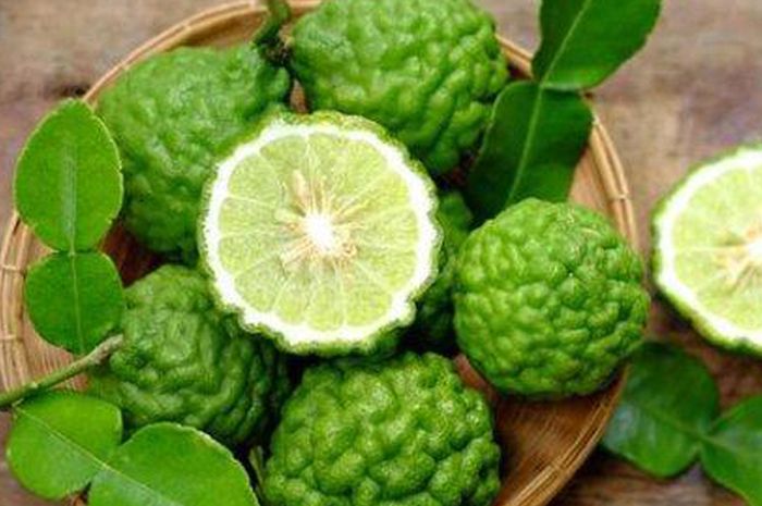 manfaat jeruk purut manfaat jeruk purut