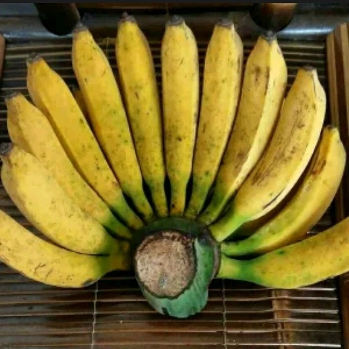 pisang-buah-mengandung-vitamin-b pisang-buah-mengandung-vitamin-b