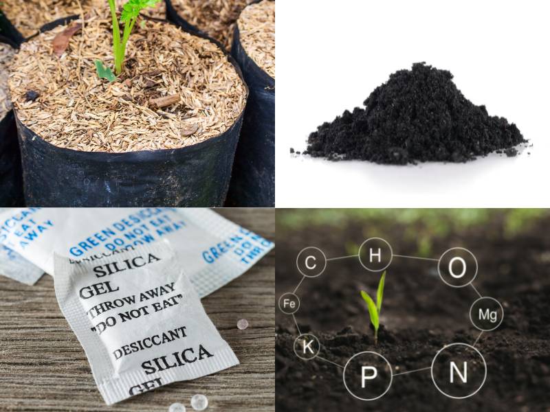 kegunaan sekam padi manfaat sekam padi