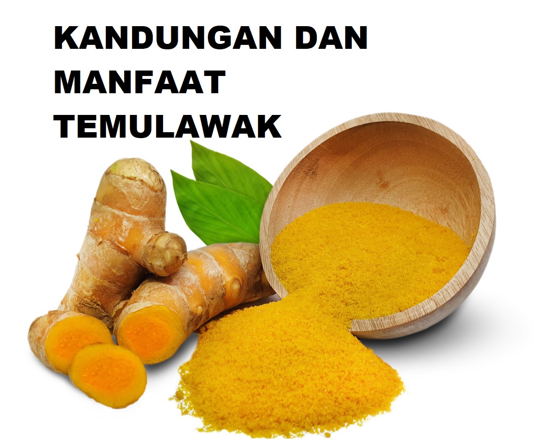 manfaat temulawak manfaat temulawak