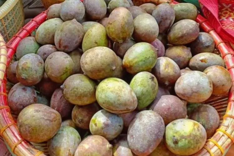 buah-kasturi buah-kasturi