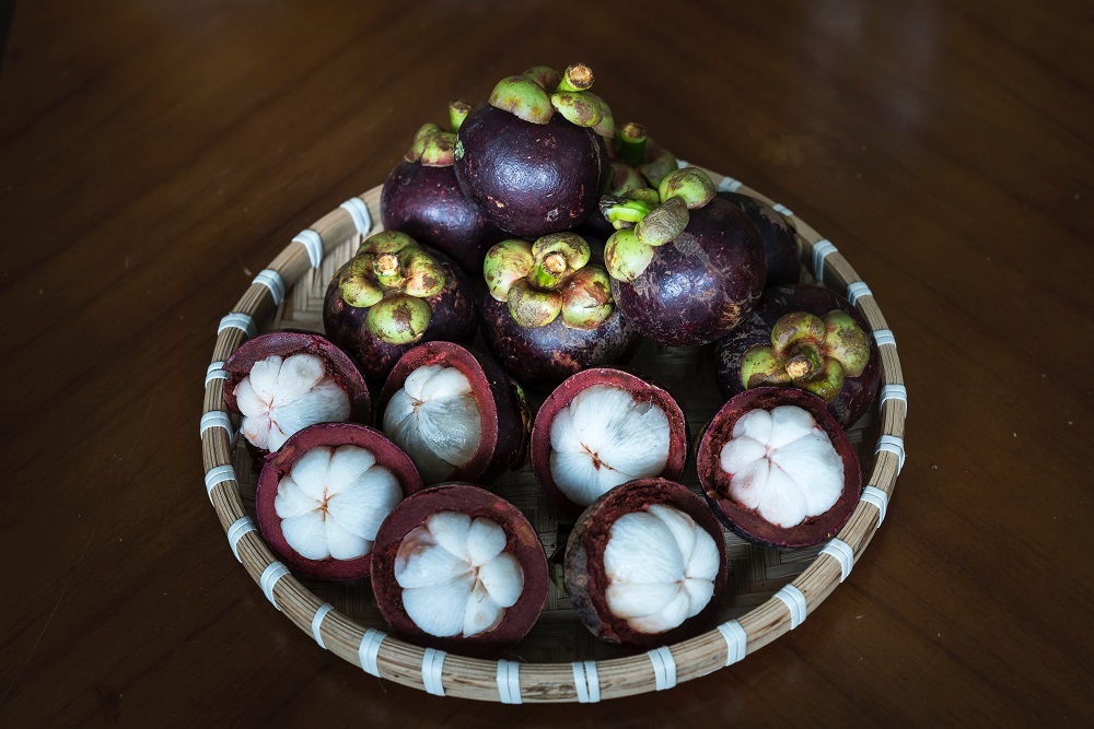 manfaat buah manggis manfaat buah manggis