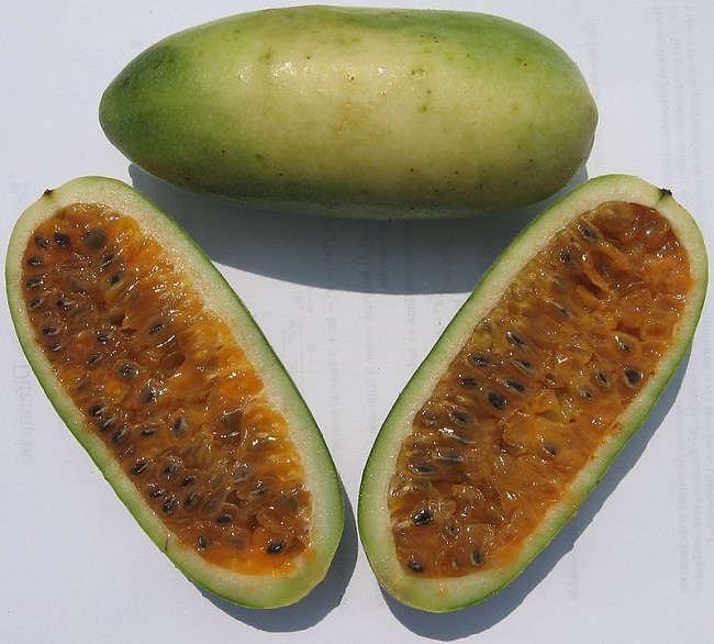 markisa-pisang markisa-pisang