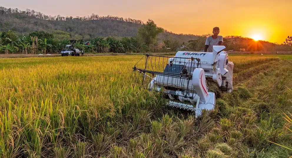 mesin panen padi combine harvester mesin combine harvester