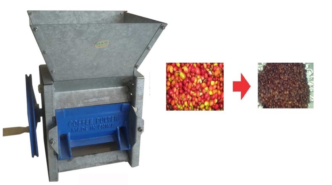 mesin pengupas kulit kopi basah mesin pengupas kulit kopi basah