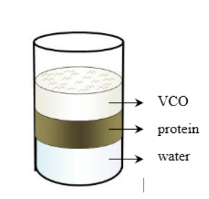 minyak kelapa murni vco