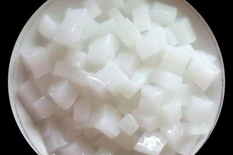 bahan nata de coco bahan nata de coco