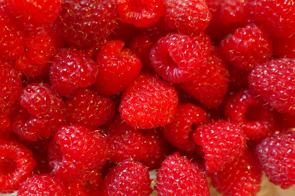 buah-raspberry buah-raspberry
