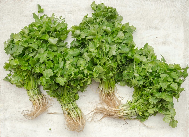 manfaat-daun-parsley manfaat-daun-parsley