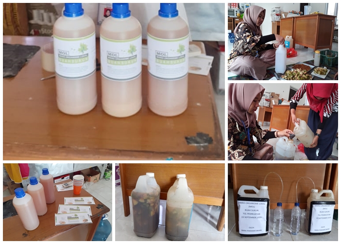 MOL adalah pengertian MOL adalah