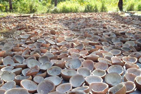 pembuatan kopra pembuatan kopra