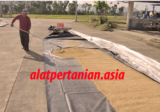 solar dryer indonesia
