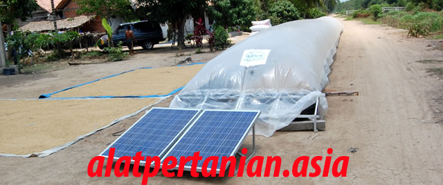 solar dryer padi