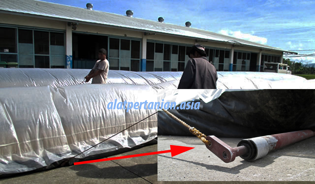 pengeringan padi solar dryer
