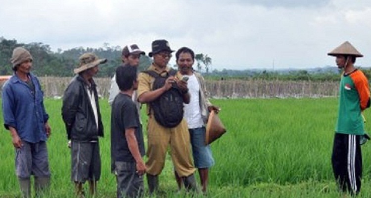 penyuluhan pertanian penyuluhan pertanian