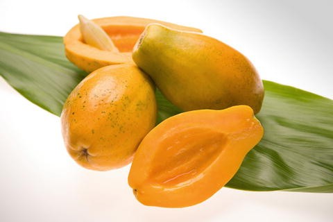 gambar pepaya gambar pepaya