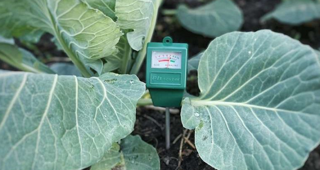 SOIL PH METRe SOIL PH METRe
