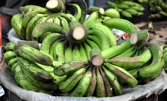 gambar buah pisang - ambon lumut gambar buah pisang : ambon lumut