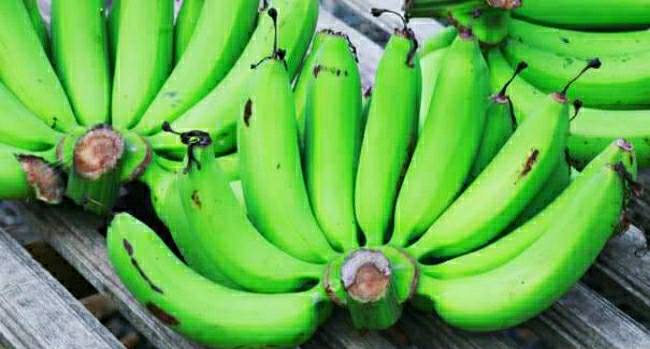 buah pisang goroho buah pisang goroho