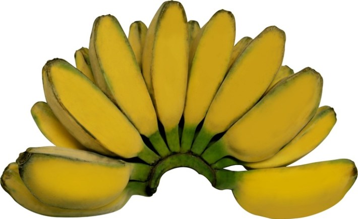 macam macam pisang - pisang kepok gambar buah pisang : kepok