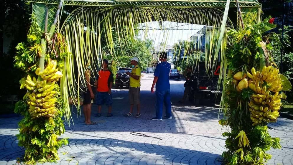 pisang raja suluhan pisang raja suluhan