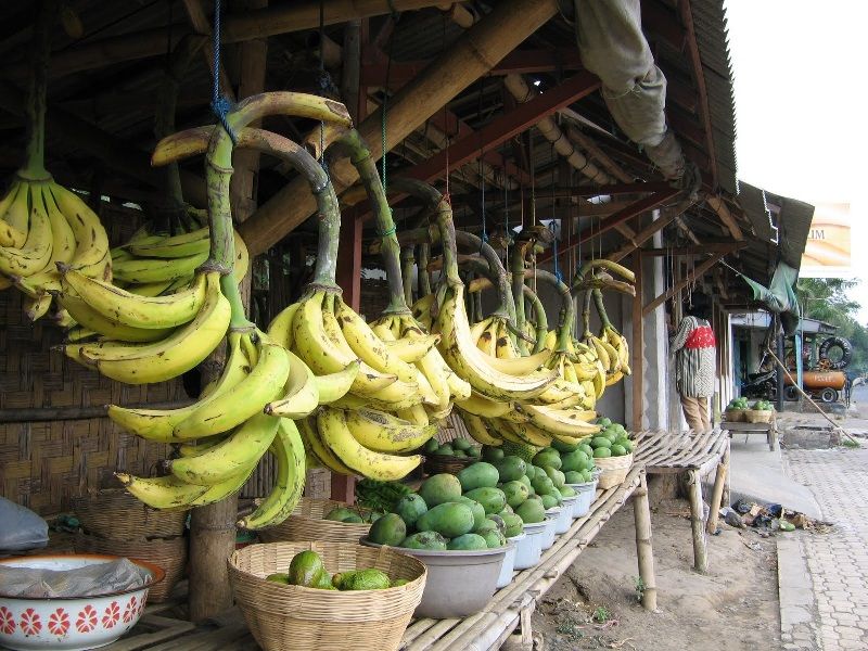 gambar buah pisang talun gambar buah pisang : talun