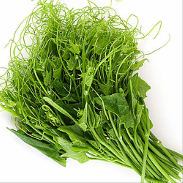 pucuk labu siam pucuk labu siam