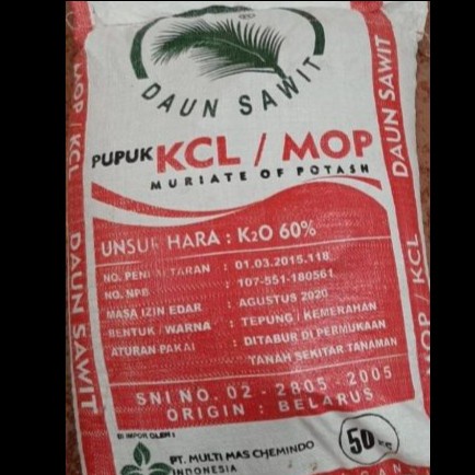 kcl atau MOP kcl atau MOP