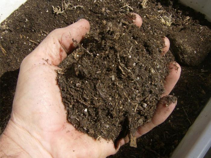 apa itu pupuk organik Pupuk organik adalah