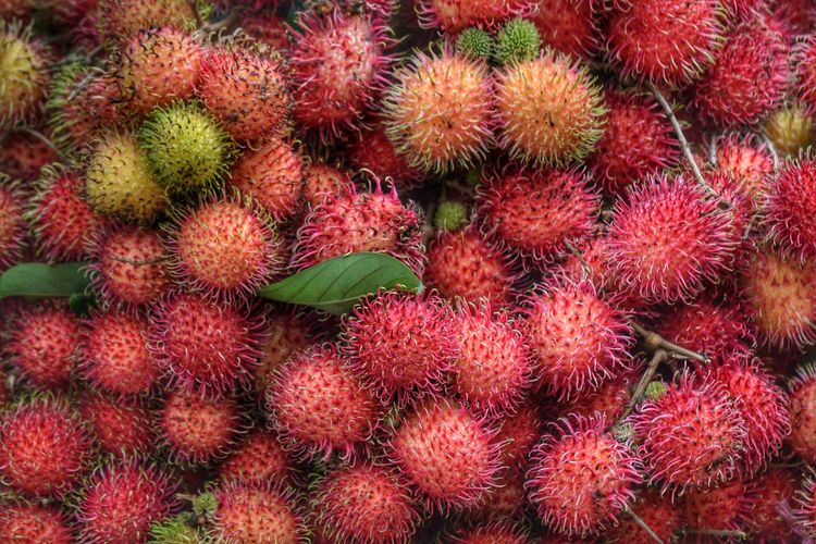 BUAH RAMBUTAN BUAH RAMBUTAN