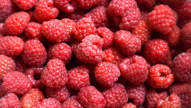 buah raspberry buah raspberry