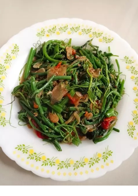 tumis pucuk labu siam tumis labu siam