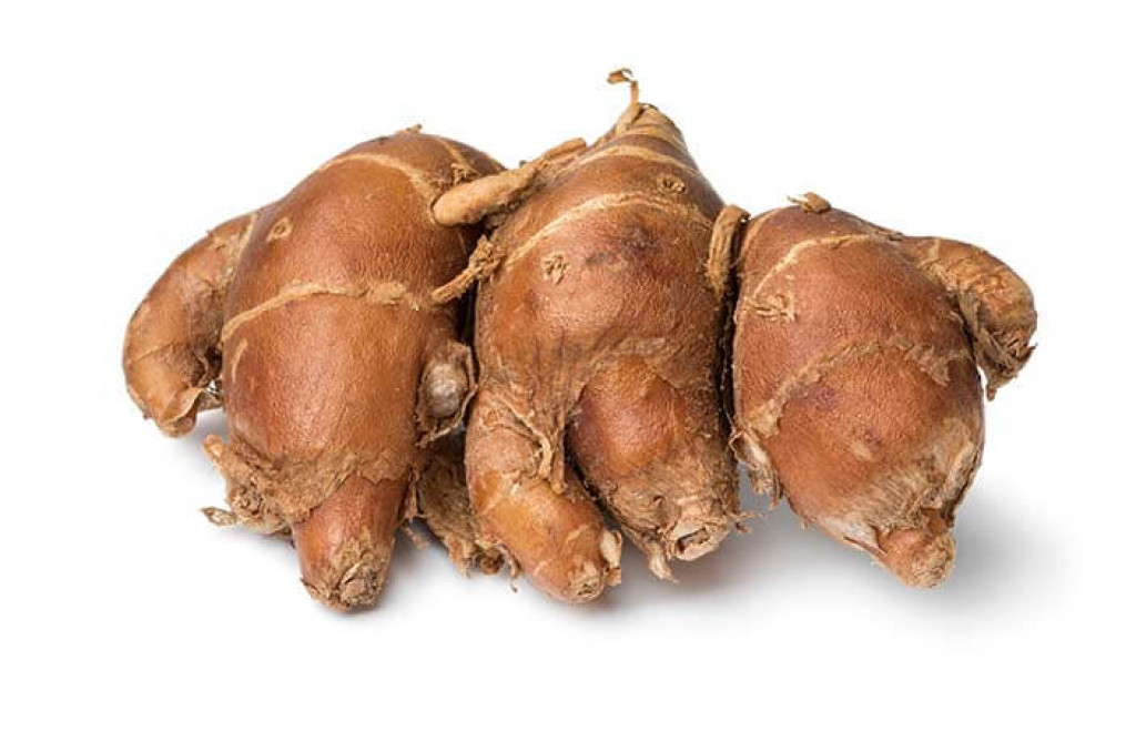 rimpang kencur rimpang kencur