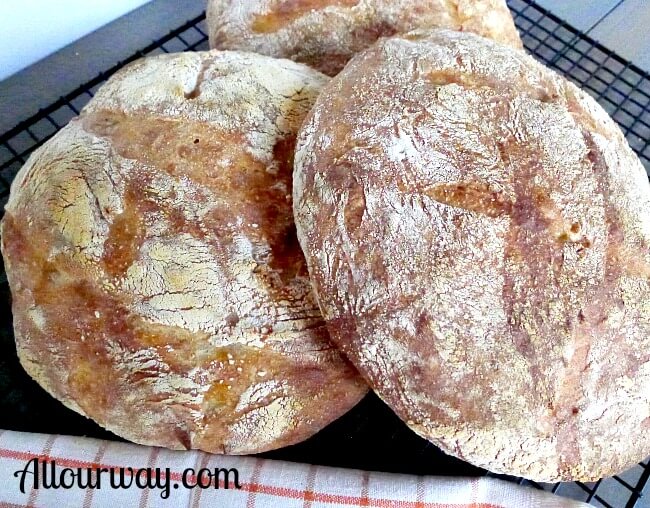 jenis roti dari italia - pugliese gambar roti : pugliese