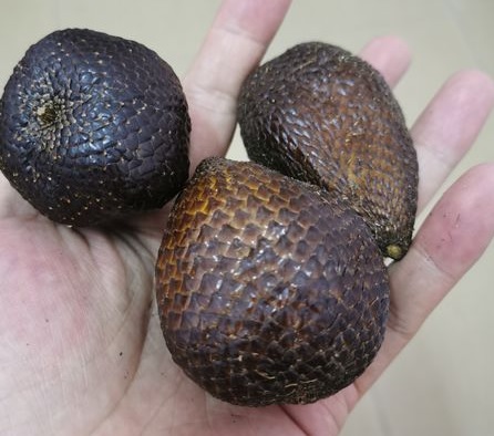 buah salak pondoh buah salak pondoh