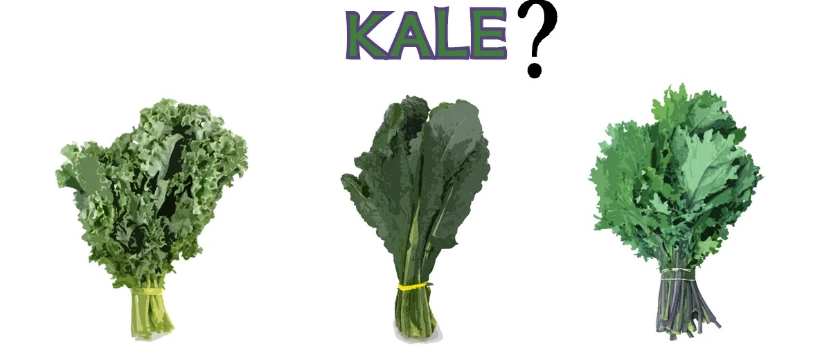 sayur kale sayur kale