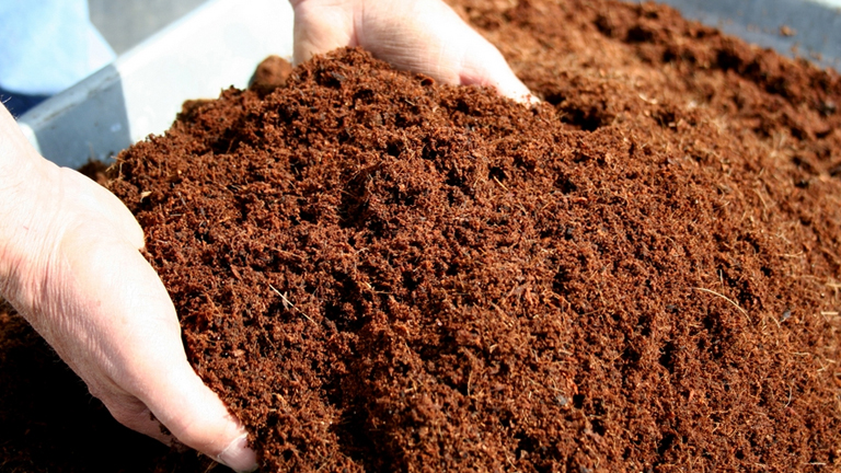 sabut kelapa jadi pupuk organik sabut kelapa jadi pupuk organik