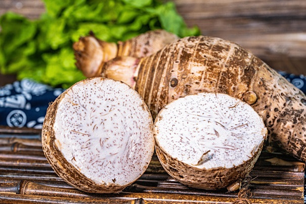 tanaman-talas tanaman-talas