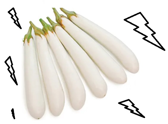 terong putih terong putih